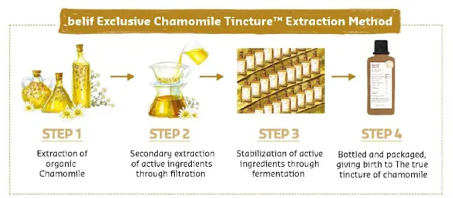 Belif The True Tincture Essence Chamomile Process