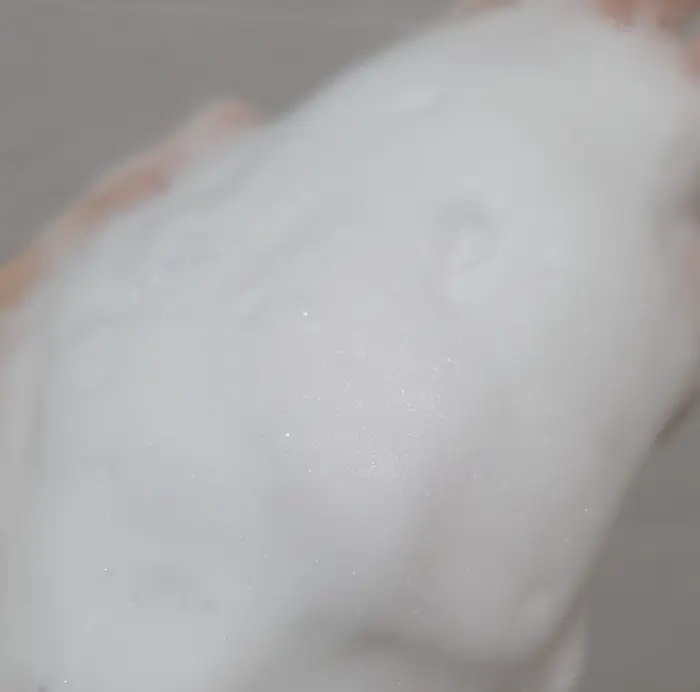 Pyunkang Yul Low PH Pore Deep Cleansing Foam foam