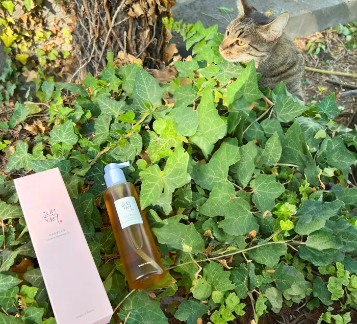 Beauty of Joseon Ginseng Cleansing Oil Review