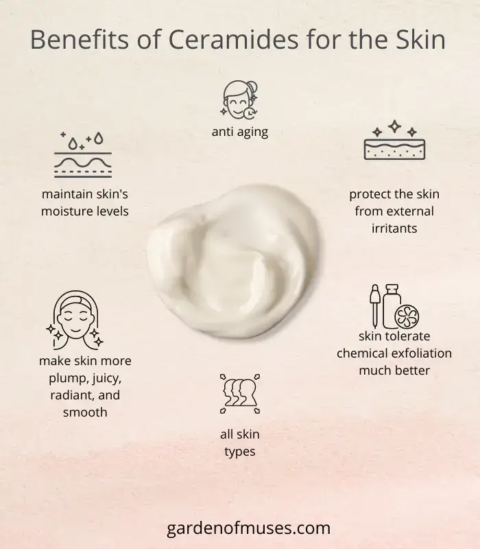 Benefits of Ceramides for the Skin infographic