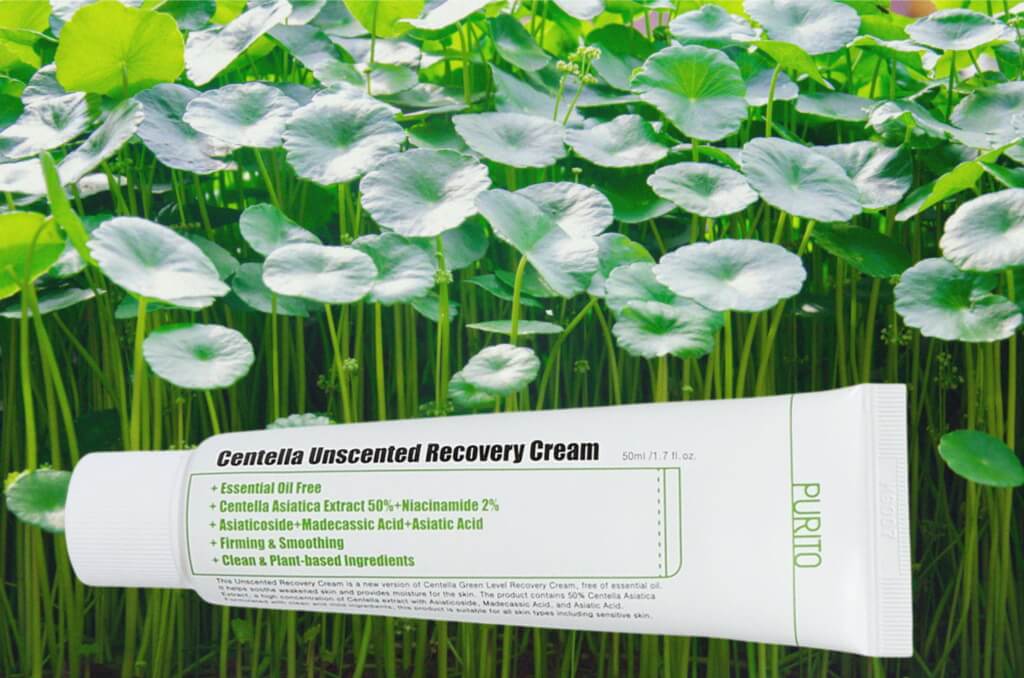 Niacinamide Benefits - Purito Centella Unscented Recovery Cream Review