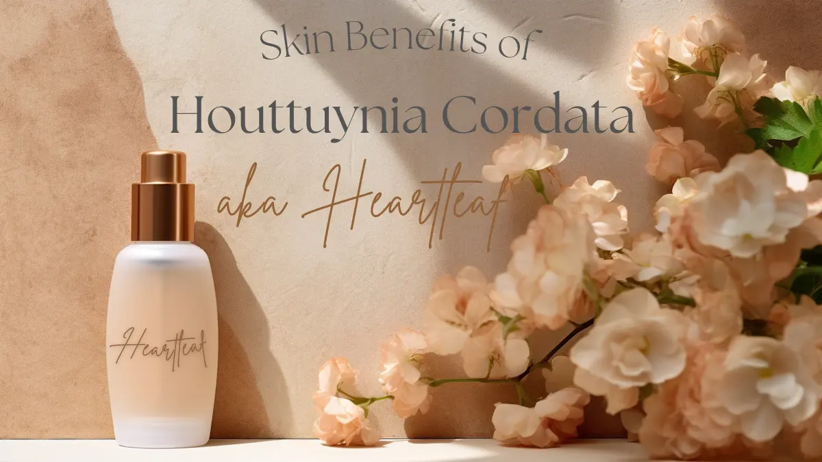 Houttuynia Cordata Heartleaf Skin Benefits