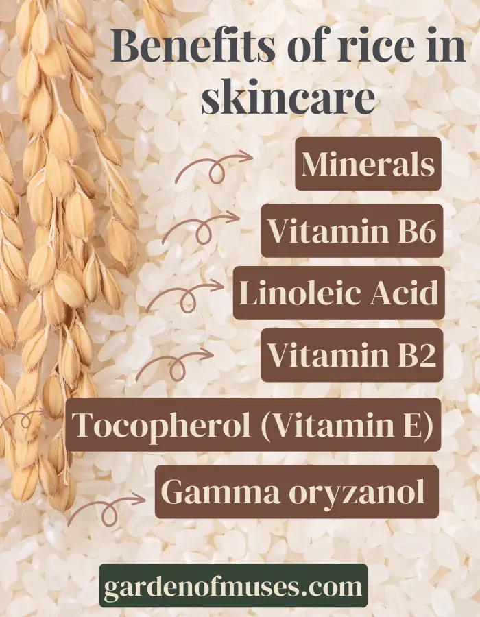 Benefits of rice in skincare